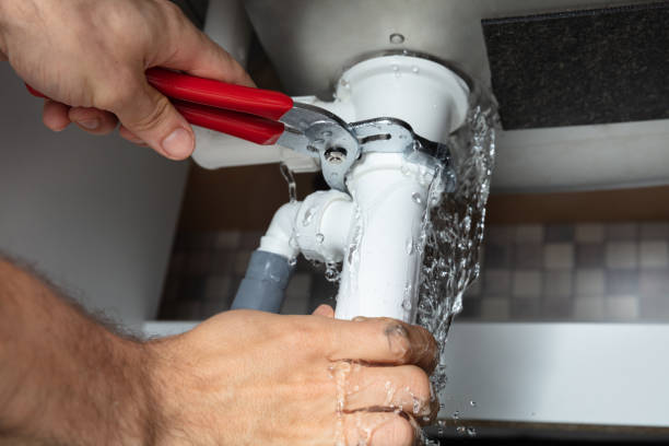 Best Sewage cleanup and water damage restoration  in Edison, GA