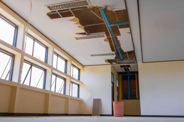Best Local water damage restoration  in Edison, GA