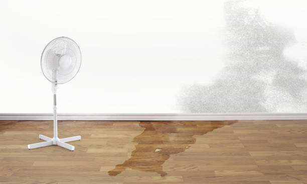 Best Fire Damage Restoration  in Edison, GA