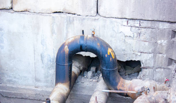 Best Ceiling water damage repair  in Edison, GA