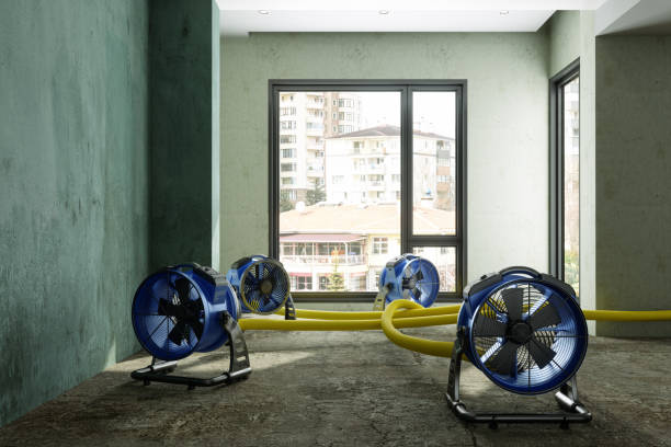 Best Commercial water damage restoration  in Edison, GA