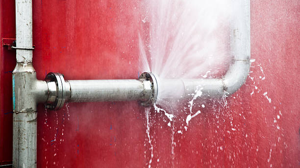 Best Professional water damage repair  in Edison, GA